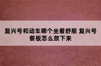 复兴号和动车哪个坐着舒服 复兴号餐板怎么放下来